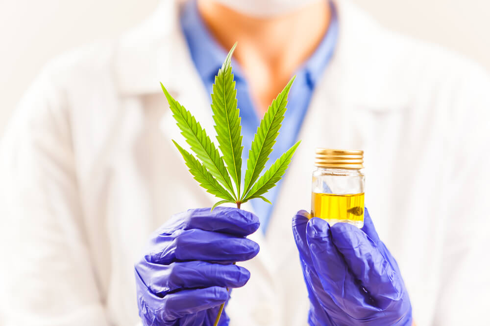 Cannabis Medicinal História Importância E Desafios No Brasil 4245