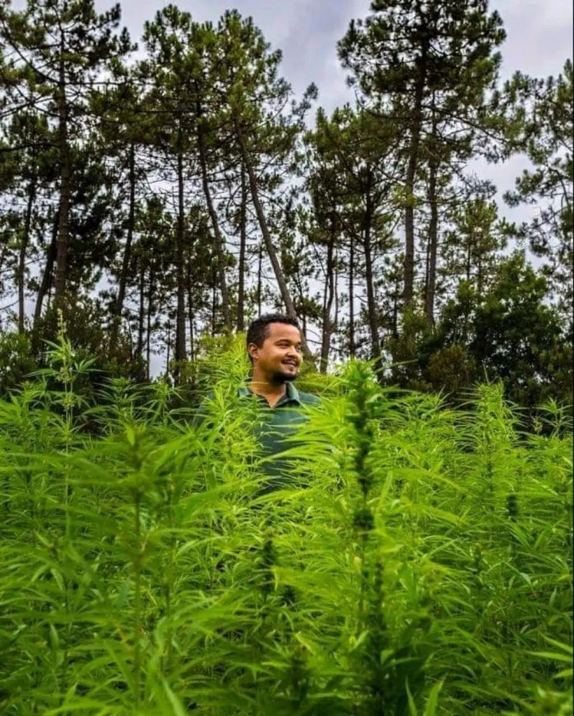 Humberto em meio a plantas de Cannabis 