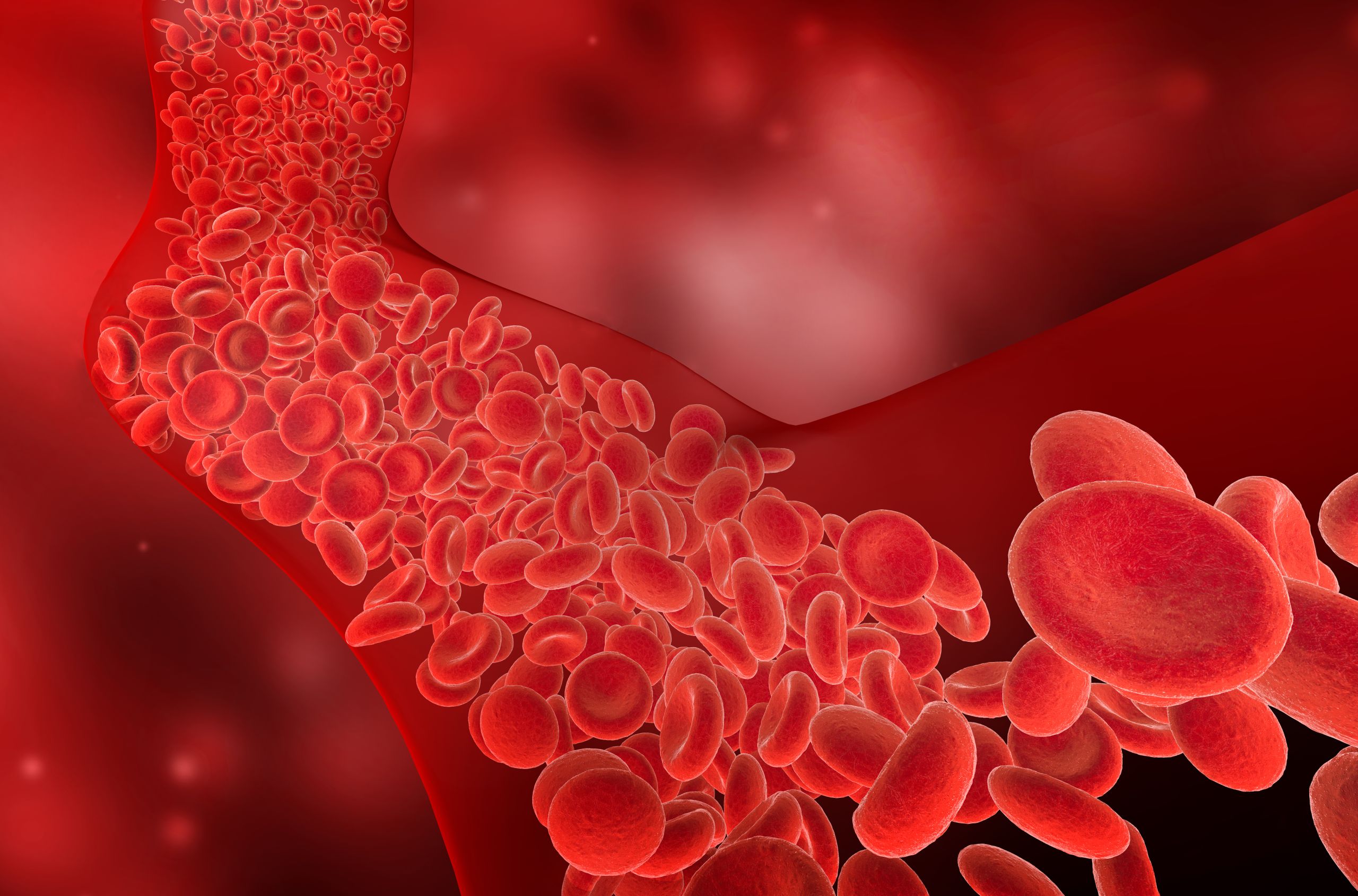 CBN e CBG mostram potencial no tratamento da leucemia, diz estudo. Ilustração 3D de fluxo de glóbulos vermelhos em vaso sanguíneo.